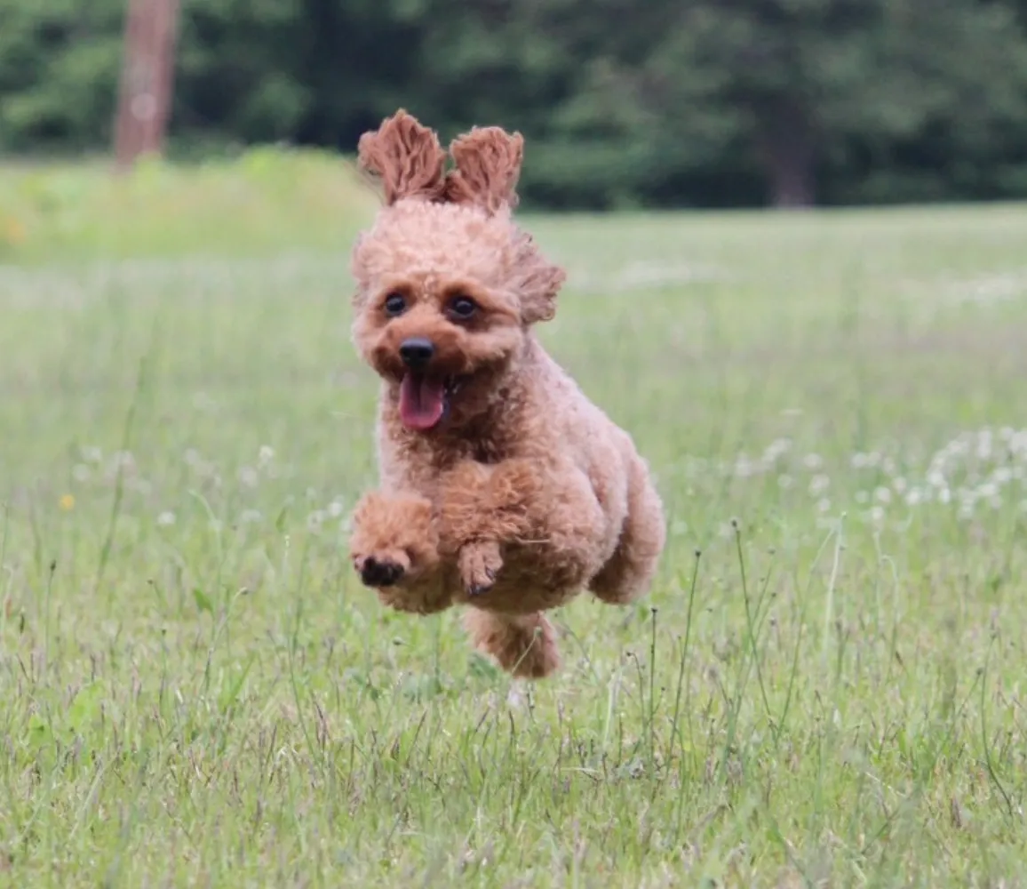 制作実績05 制作前写真