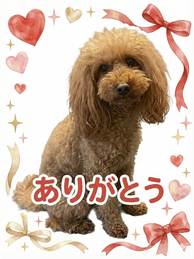 写真切り抜き風スタンプ