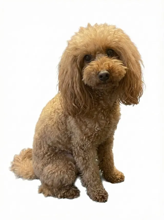 制作実績06 制作前写真