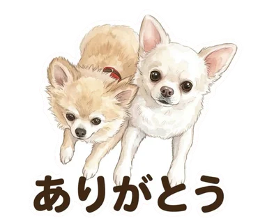 ララと空太の1枚目スタンプ